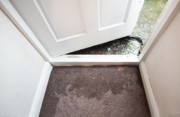 Cost of Wet Carpet Restoration in Sandy
