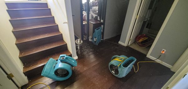Water Damage Remediation in Sandy