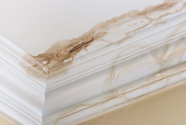 Water Damage Recovery in Sandy